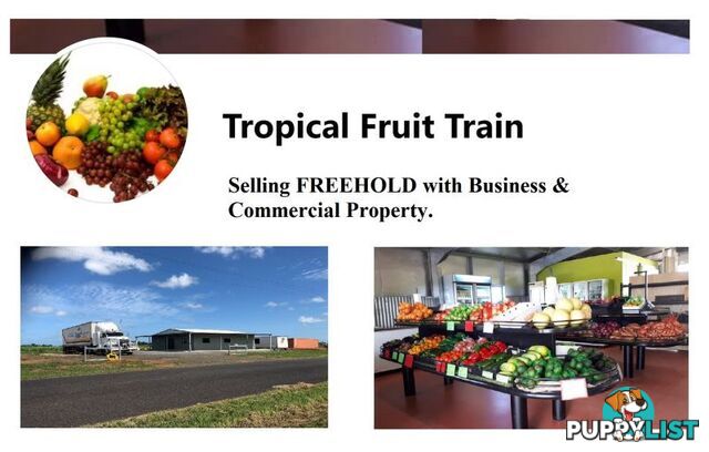 Tropical Fruit Train 50 Moresby Road Moresby QLD 4871