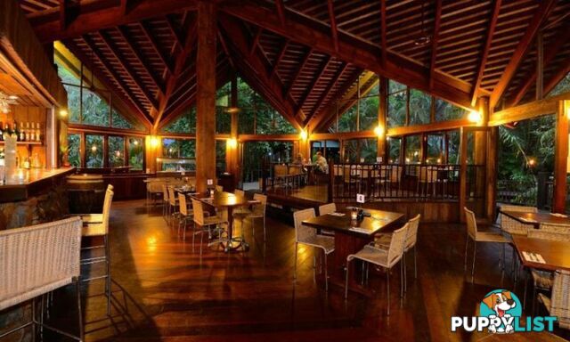 Ferntree Rainforest Lodge 36 Camelot Close Cape Tribulation QLD 4873