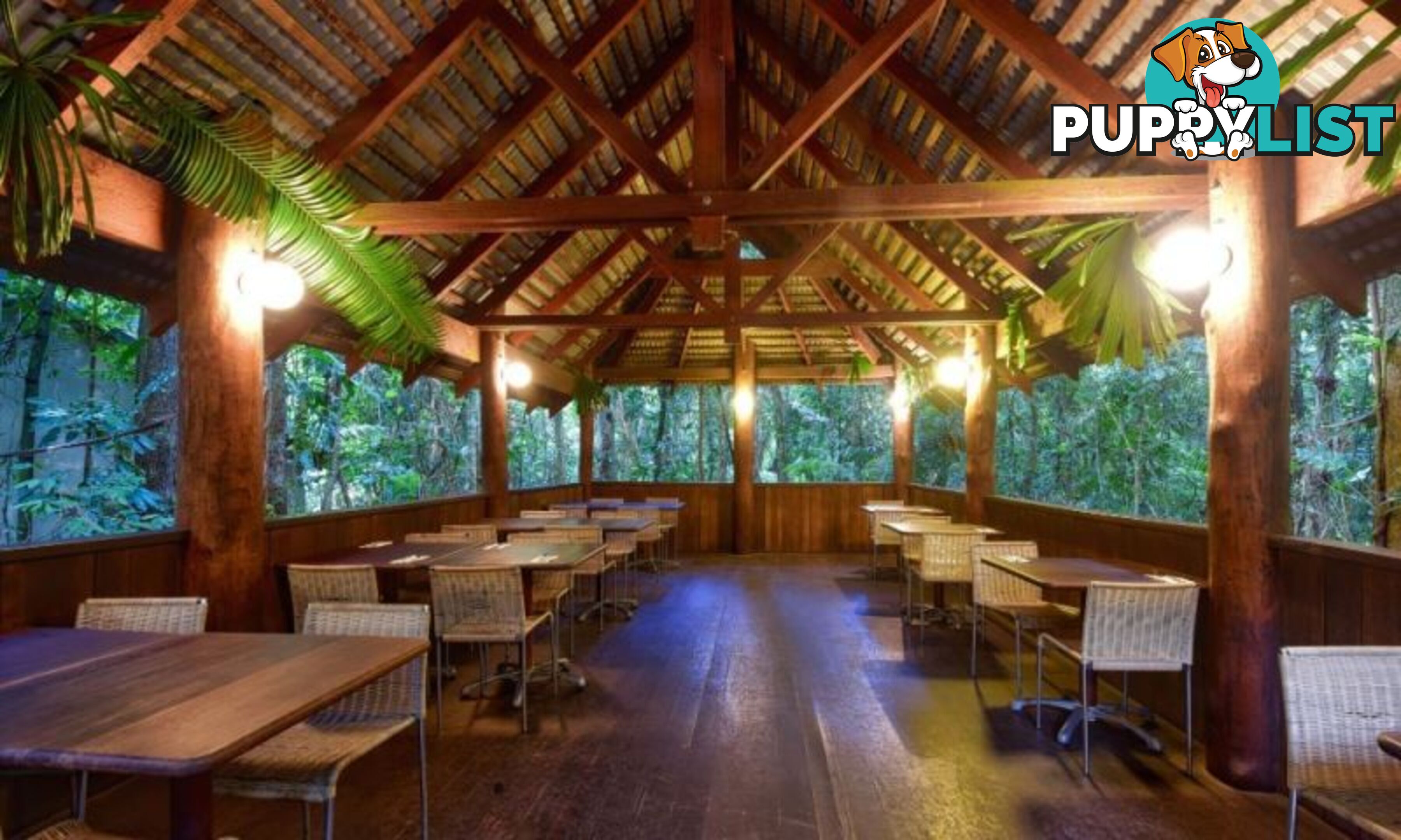 Ferntree Rainforest Lodge 36 Camelot Close Cape Tribulation QLD 4873