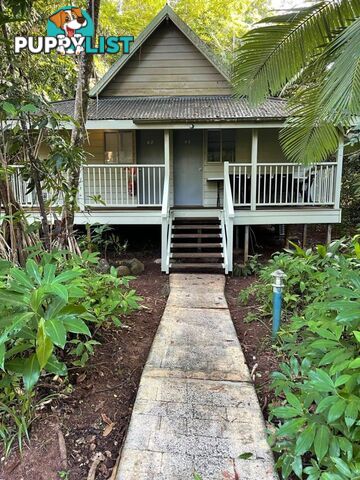 Ferntree Rainforest Lodge 36 Camelot Close Cape Tribulation QLD 4873