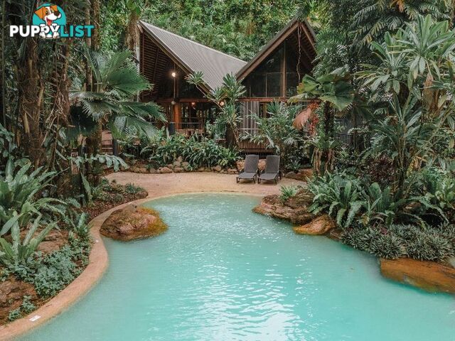 Ferntree Rainforest Lodge 36 Camelot Close Cape Tribulation QLD 4873