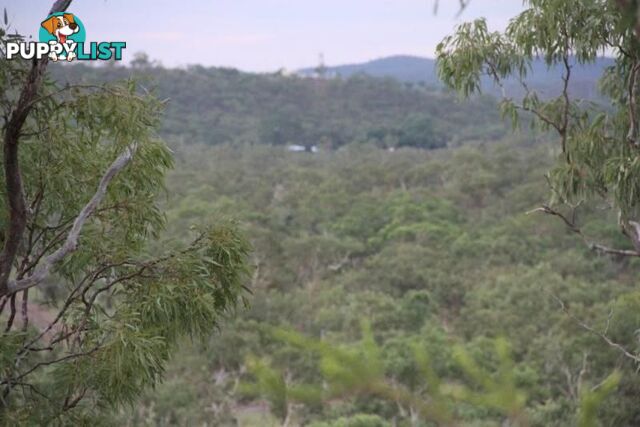 Adelaide River NT 846