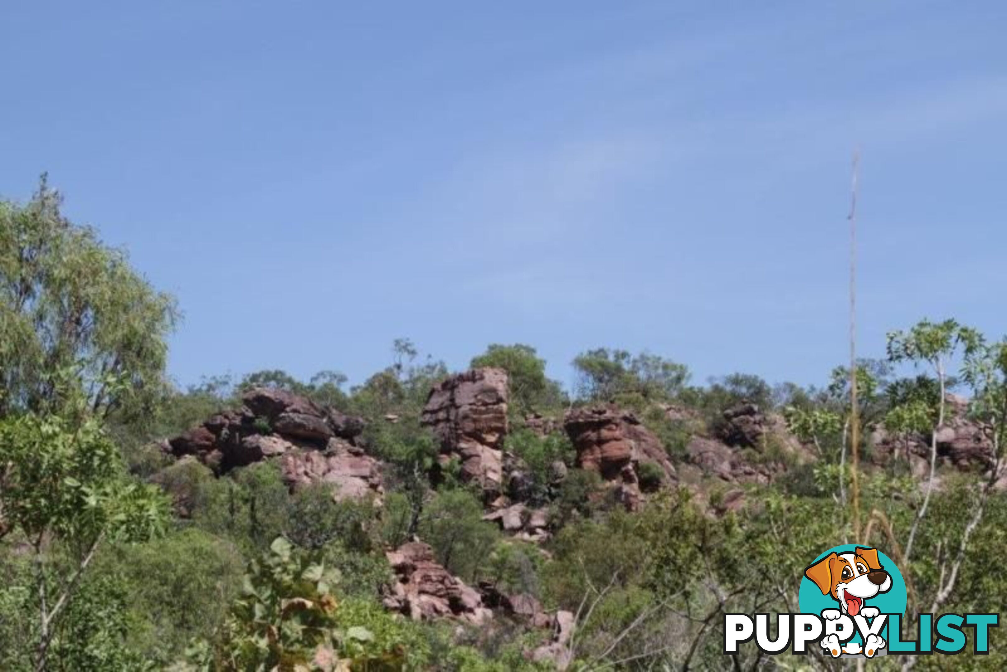 Adelaide River NT 846