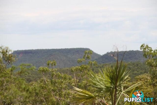 Adelaide River NT 846