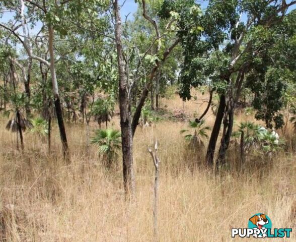 Adelaide River NT 846