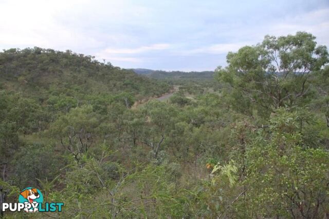 Adelaide River NT 846