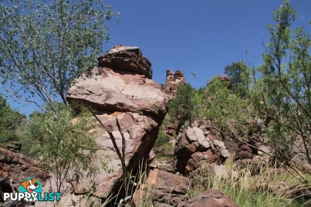 Adelaide River NT 846