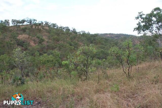 Adelaide River NT 846