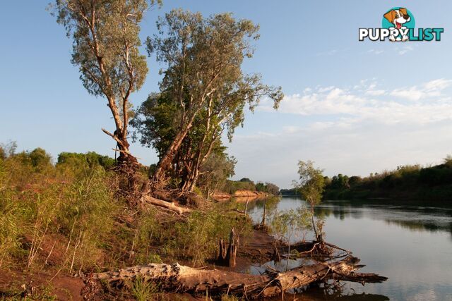 Section 32 Hundred of Berinka Daly River NT 0822