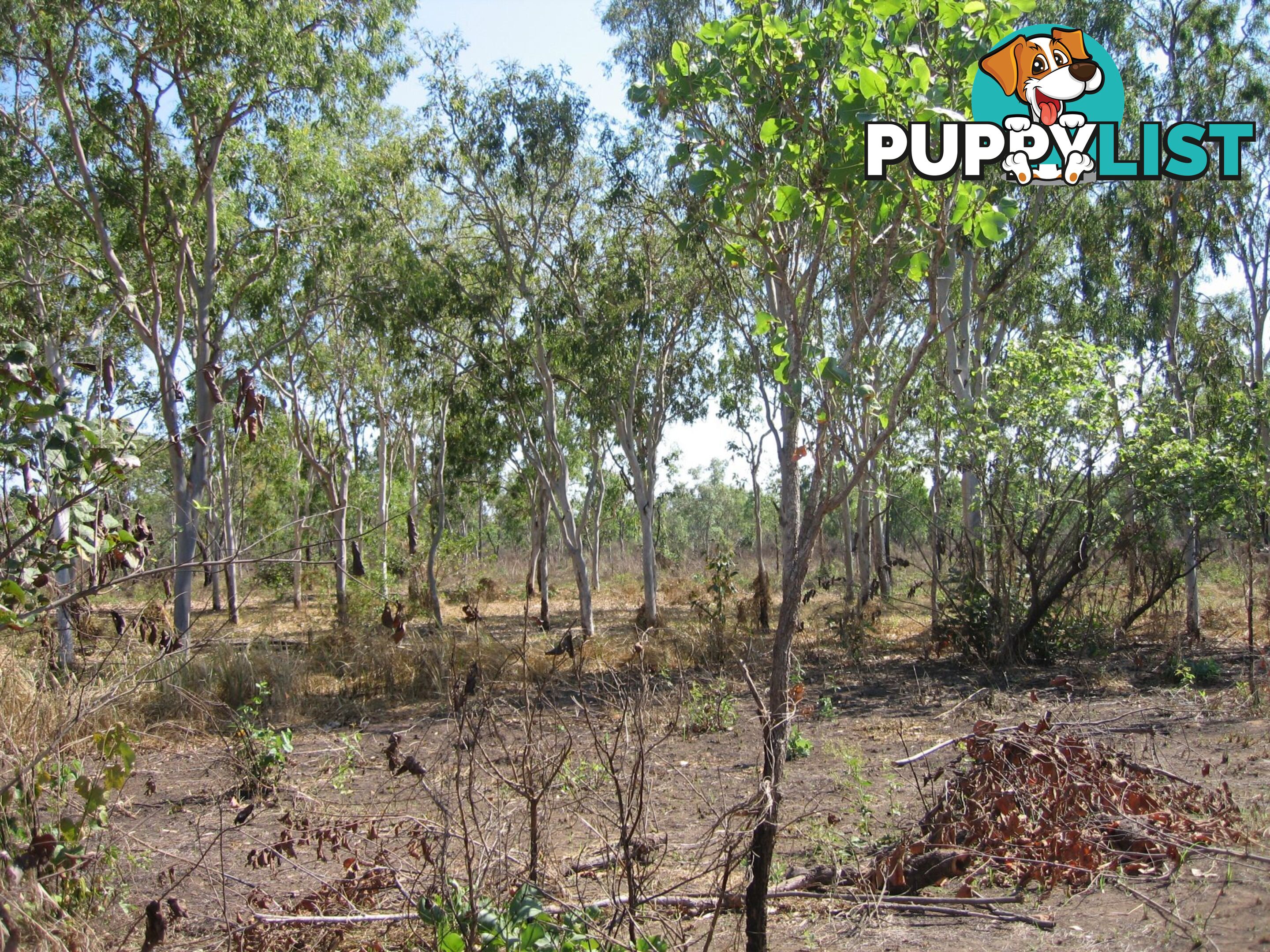 Section 32 Hundred of Berinka Daly River NT 0822