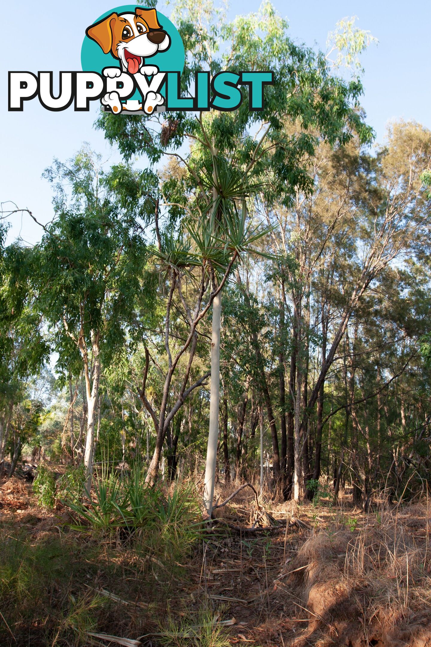 Section 32 Hundred of Berinka Daly River NT 0822