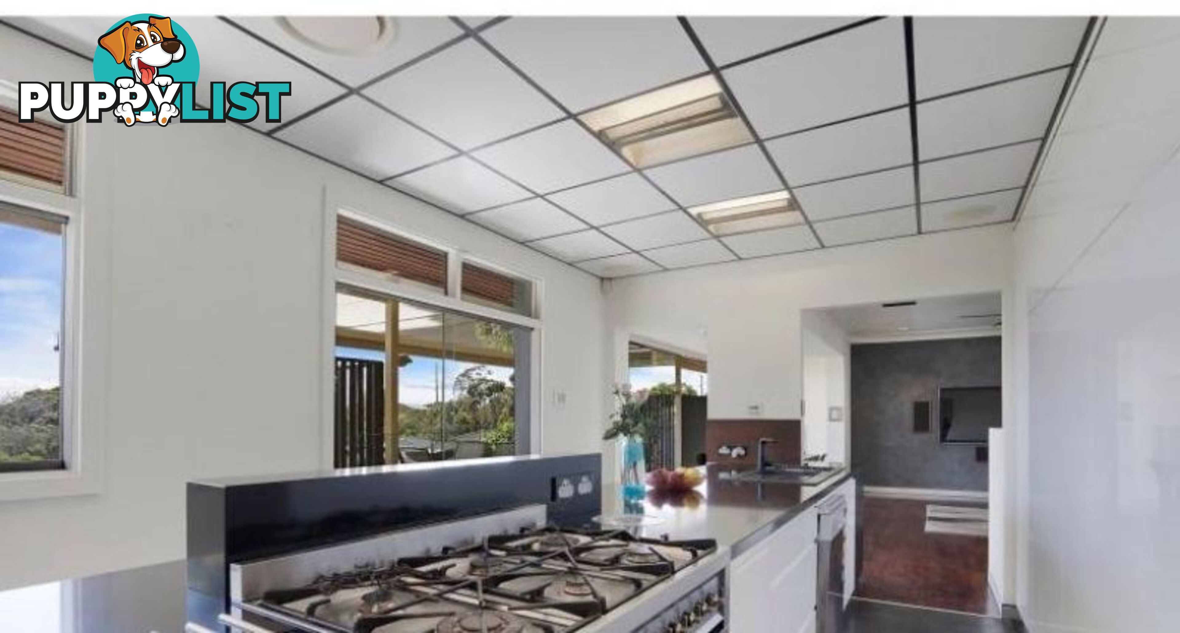 281 Charlestown Road Charlestown NSW 2290