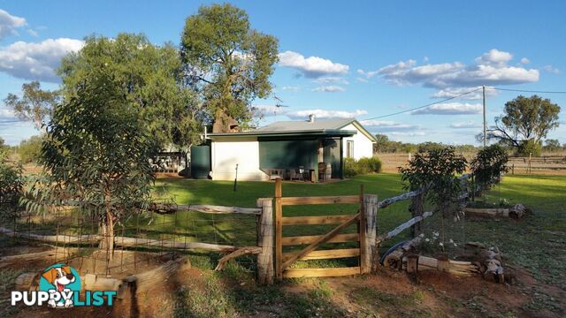 Charleville QLD 4470