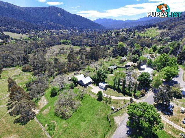 586 Morses Creek Road Wandiligong VIC 3744