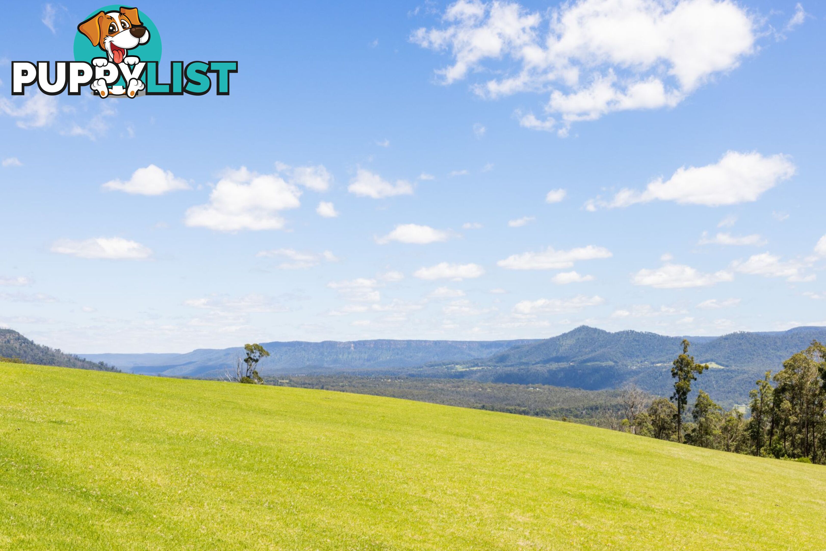 65b Marden Lane Kangaroo Valley NSW 2577