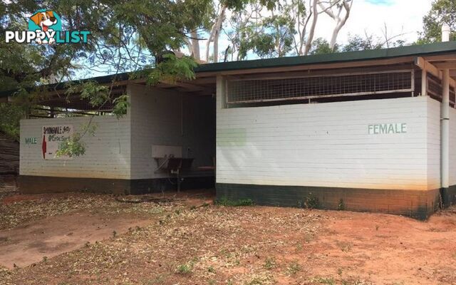 281 Shadforth Road, Cossack Katherine NT 0850