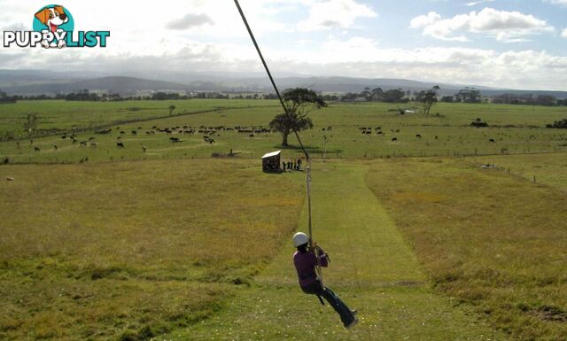 Yarram VIC 3971