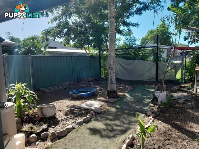 13/28 Coolibah drive Kununurra WA 6743