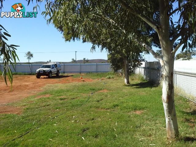 34-40 Gibbons Street Yalgoo WA 6635