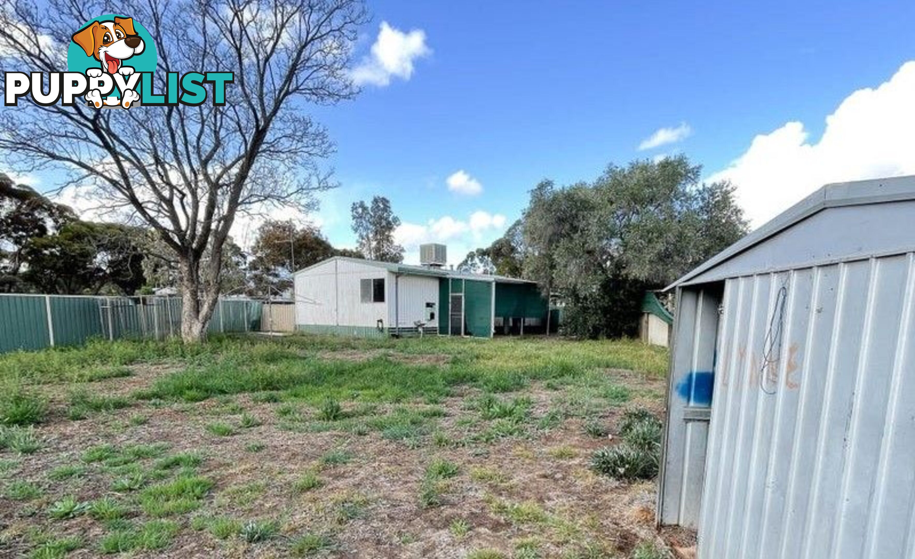 81 Angove Street Norseman WA 6443