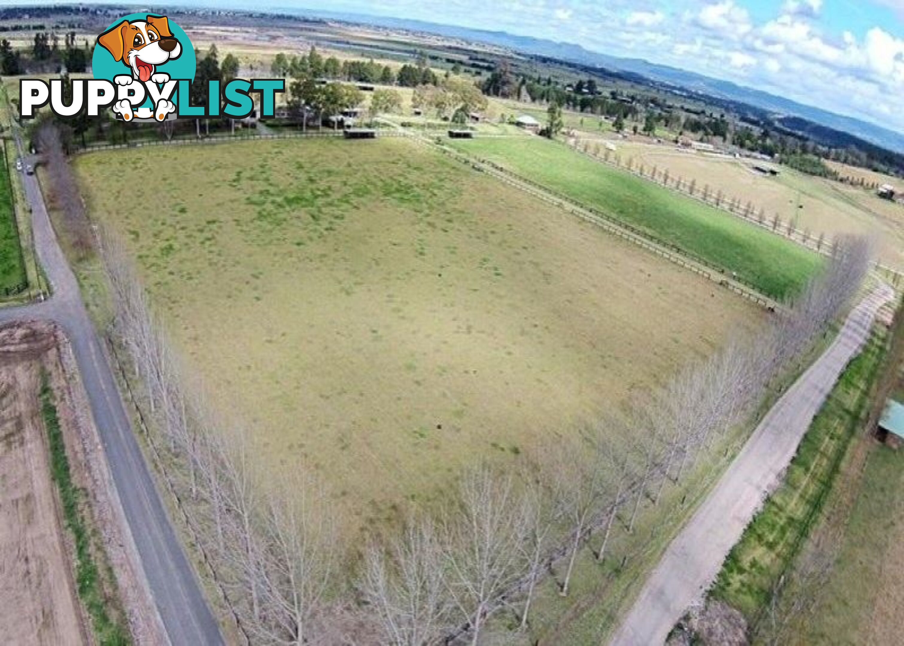 Reavill Farm 178 Hibberts Lane Freemans Reach NSW 2756