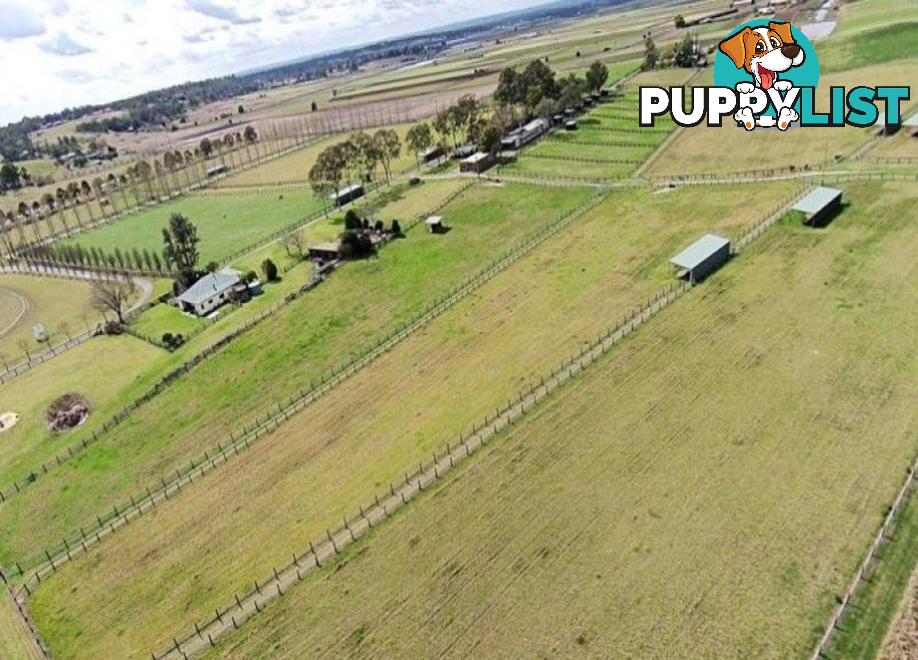 Reavill Farm 178 Hibberts Lane Freemans Reach NSW 2756