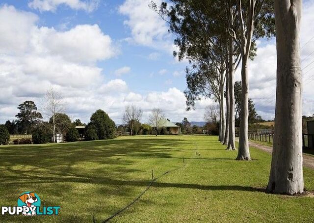 Reavill Farm 178 Hibberts Lane Freemans Reach NSW 2756