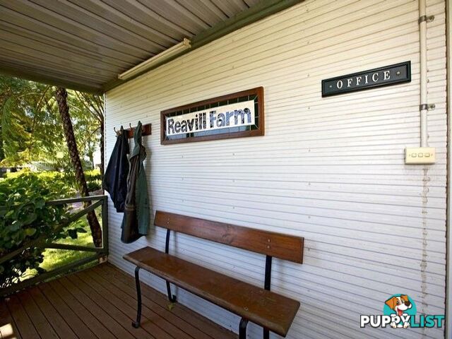 Reavill Farm 178 Hibberts Lane Freemans Reach NSW 2756