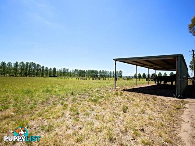 Reavill Farm 178 Hibberts Lane Freemans Reach NSW 2756