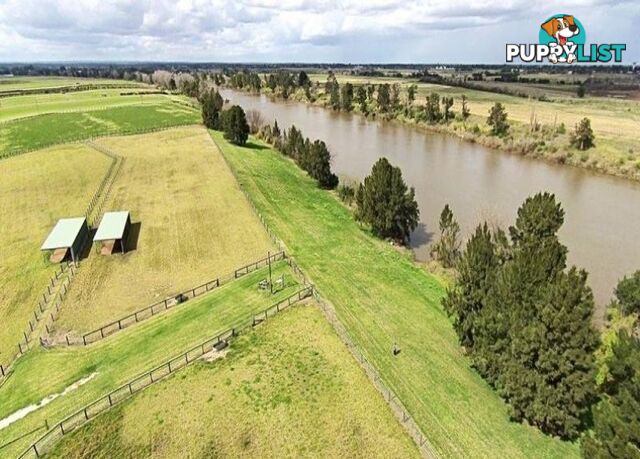 Reavill Farm 178 Hibberts Lane Freemans Reach NSW 2756