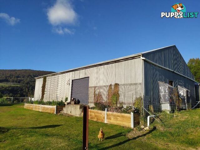 70 Gumpits Road Birchs Bay TAS 7162