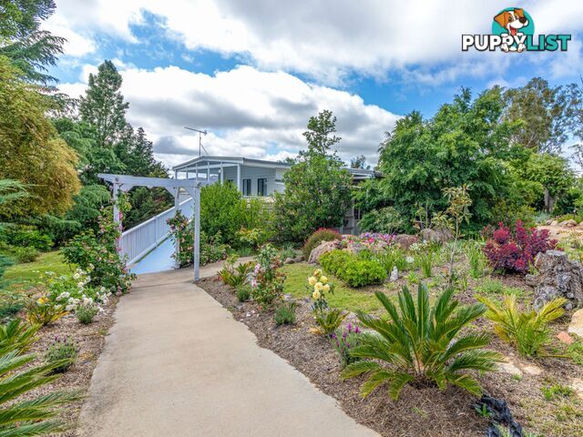 311 Stabiles Rd Glen Aplin QLD 4381