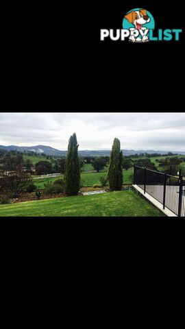 Tumut NSW 2720