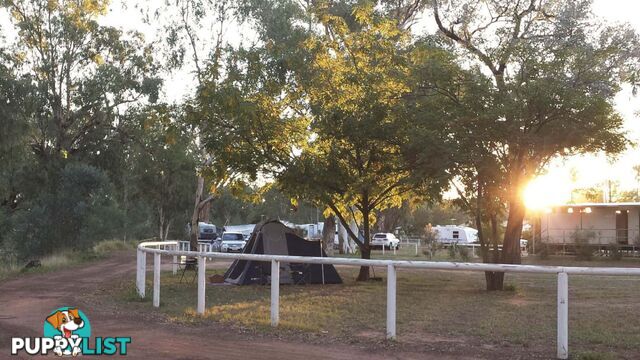 Charleville QLD 4470