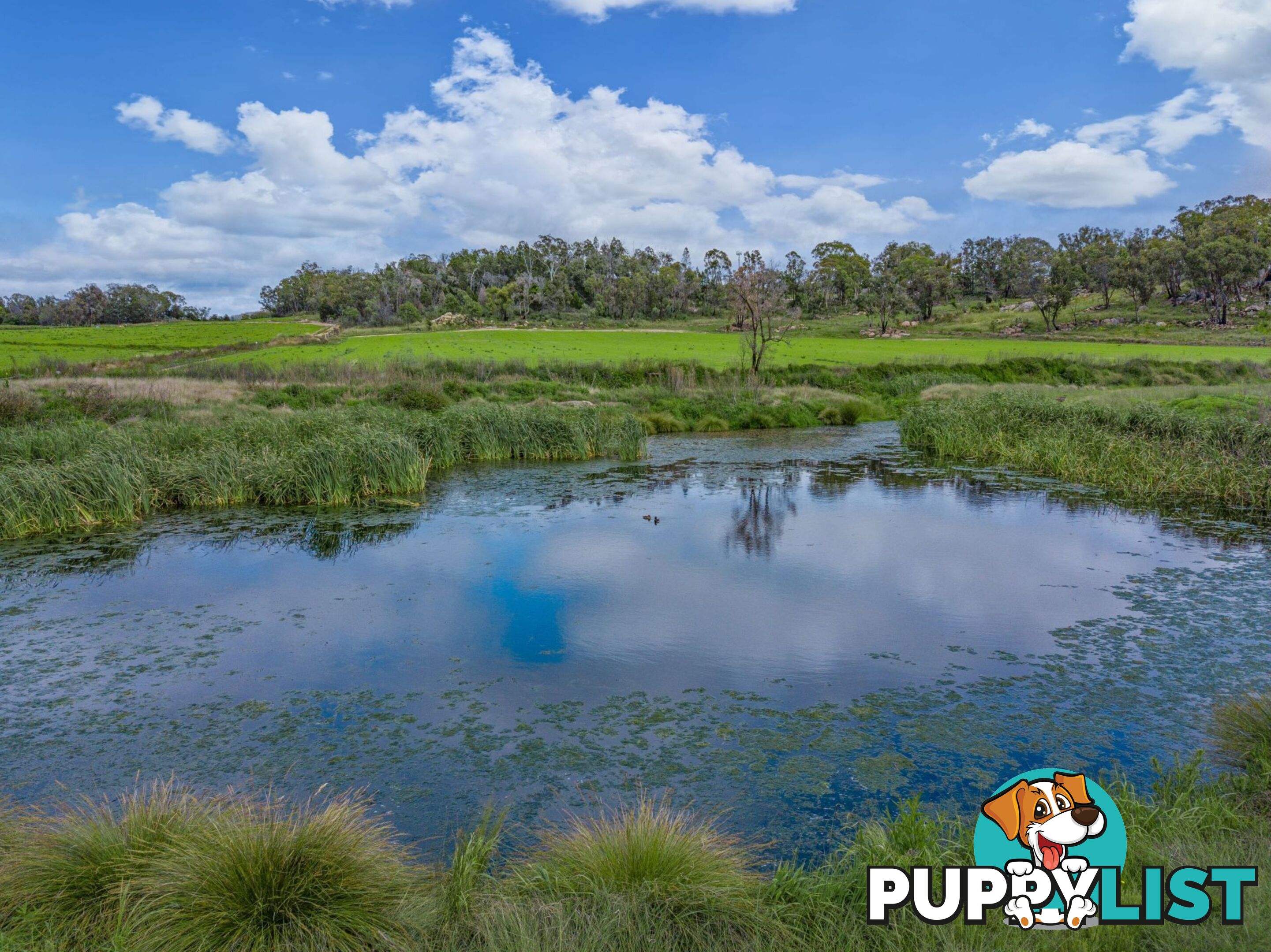 Glen Aplin Gardens 311 Stabiles Road Glen Aplin QLD 4381