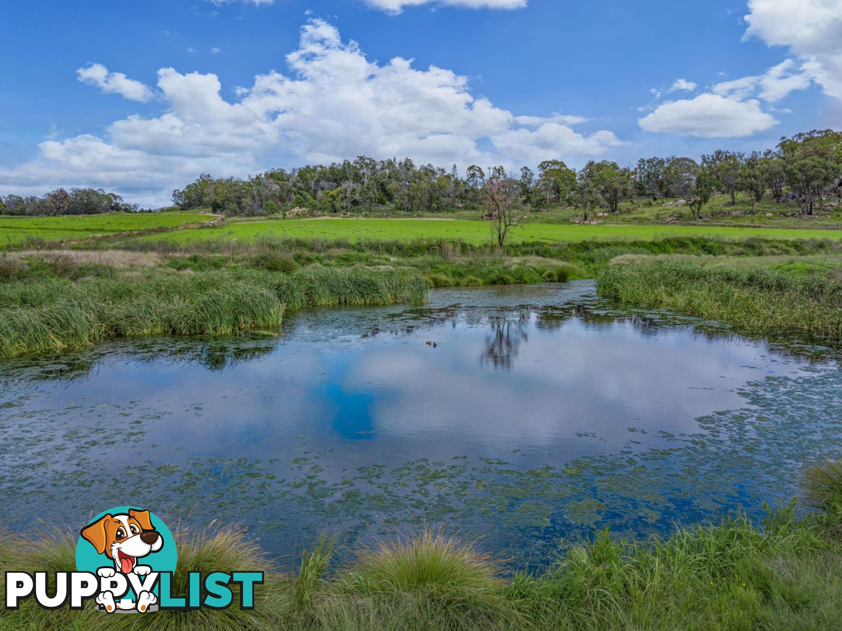 Glen Aplin Gardens 311 Stabiles Road Glen Aplin QLD 4381