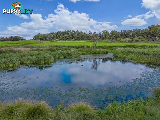 Glen Aplin Gardens 311 Stabiles Road Glen Aplin QLD 4381