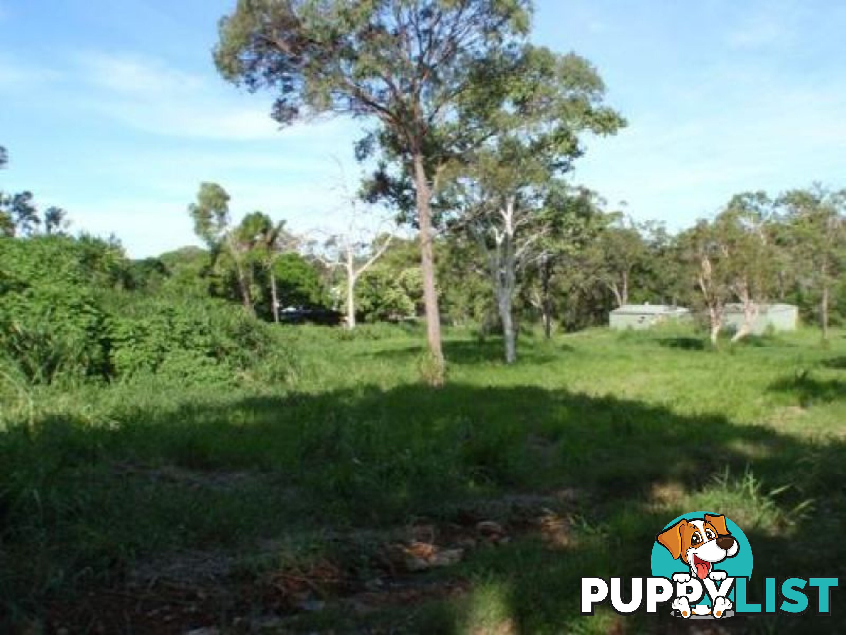 9 Casey Drive Yeppoon QLD 4703