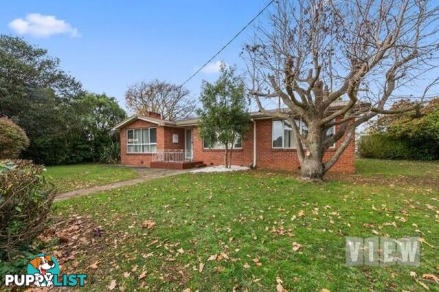 59 Hamilton Street Latrobe TAS 7307