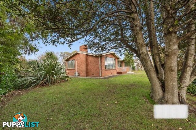 59 Hamilton Street Latrobe TAS 7307