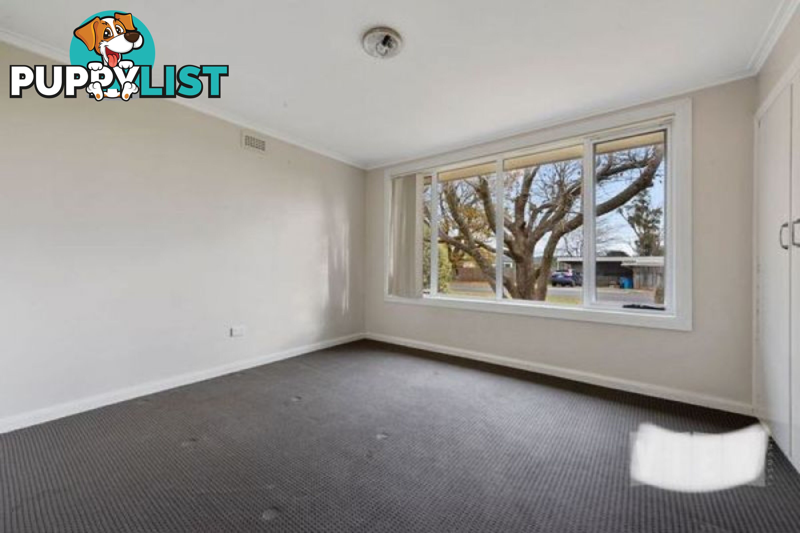 59 Hamilton Street Latrobe TAS 7307