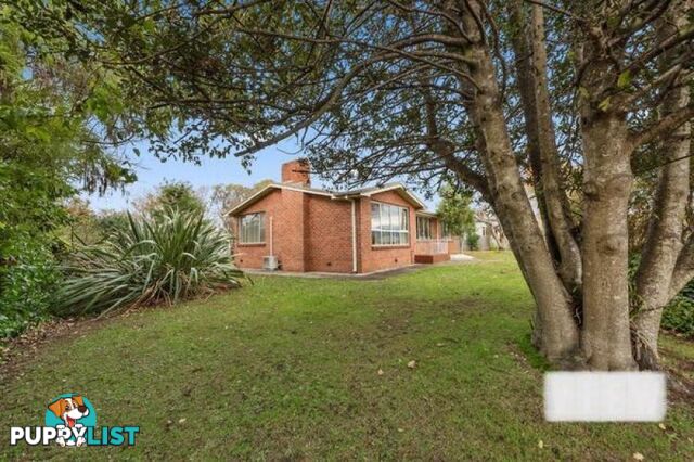 59 Hamilton Street Latrobe TAS 7307