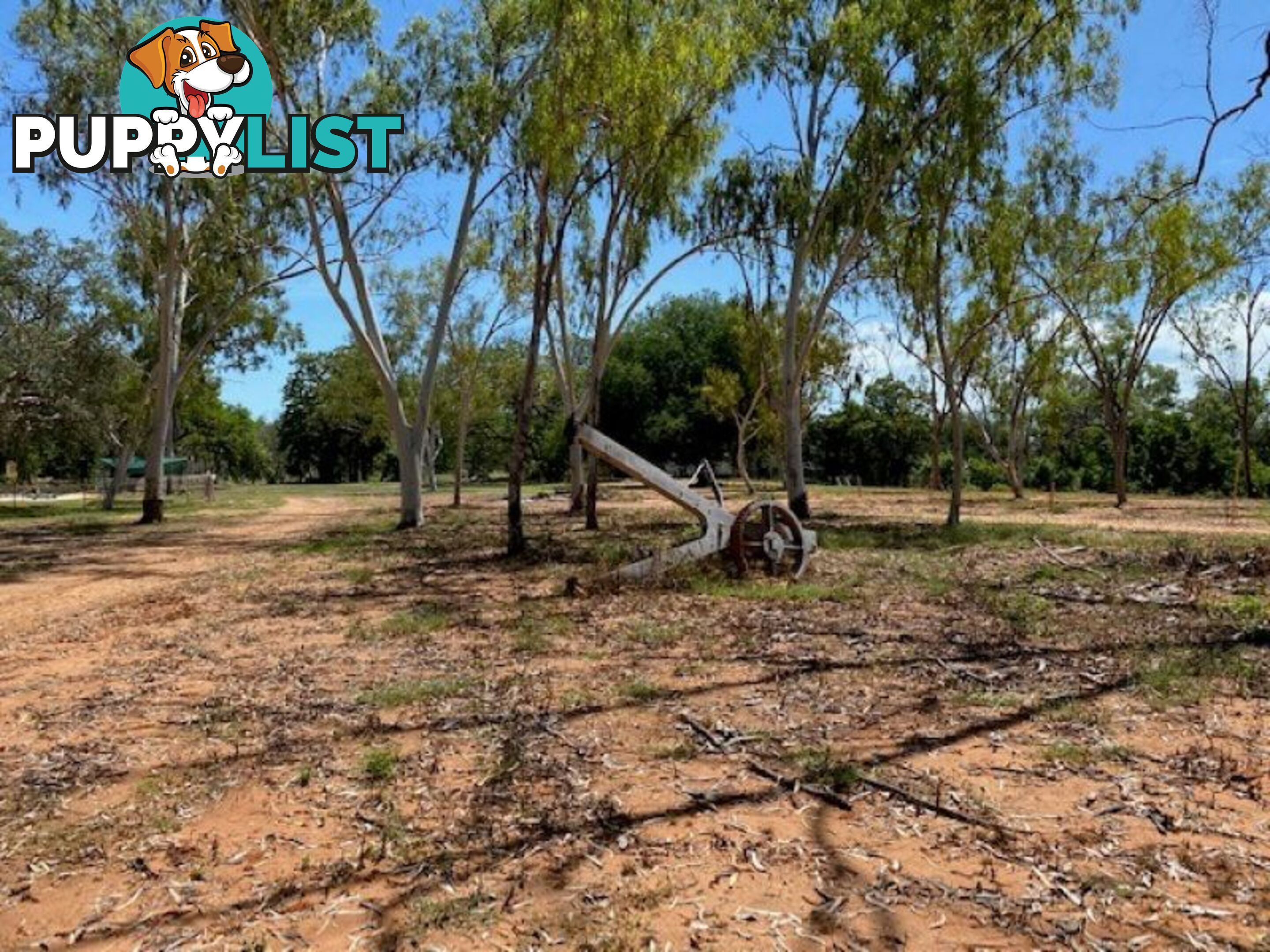 SPRINGVALE HOMESTEAD PARK - 281 Shadforth Road, Cossack Katherine NT 0850