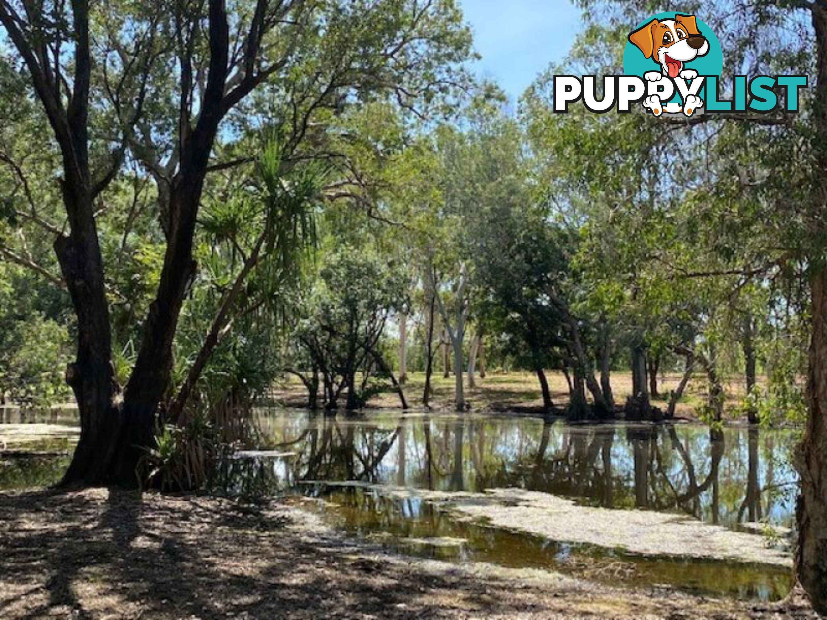 SPRINGVALE HOMESTEAD PARK - 281 Shadforth Road, Cossack Katherine NT 0850