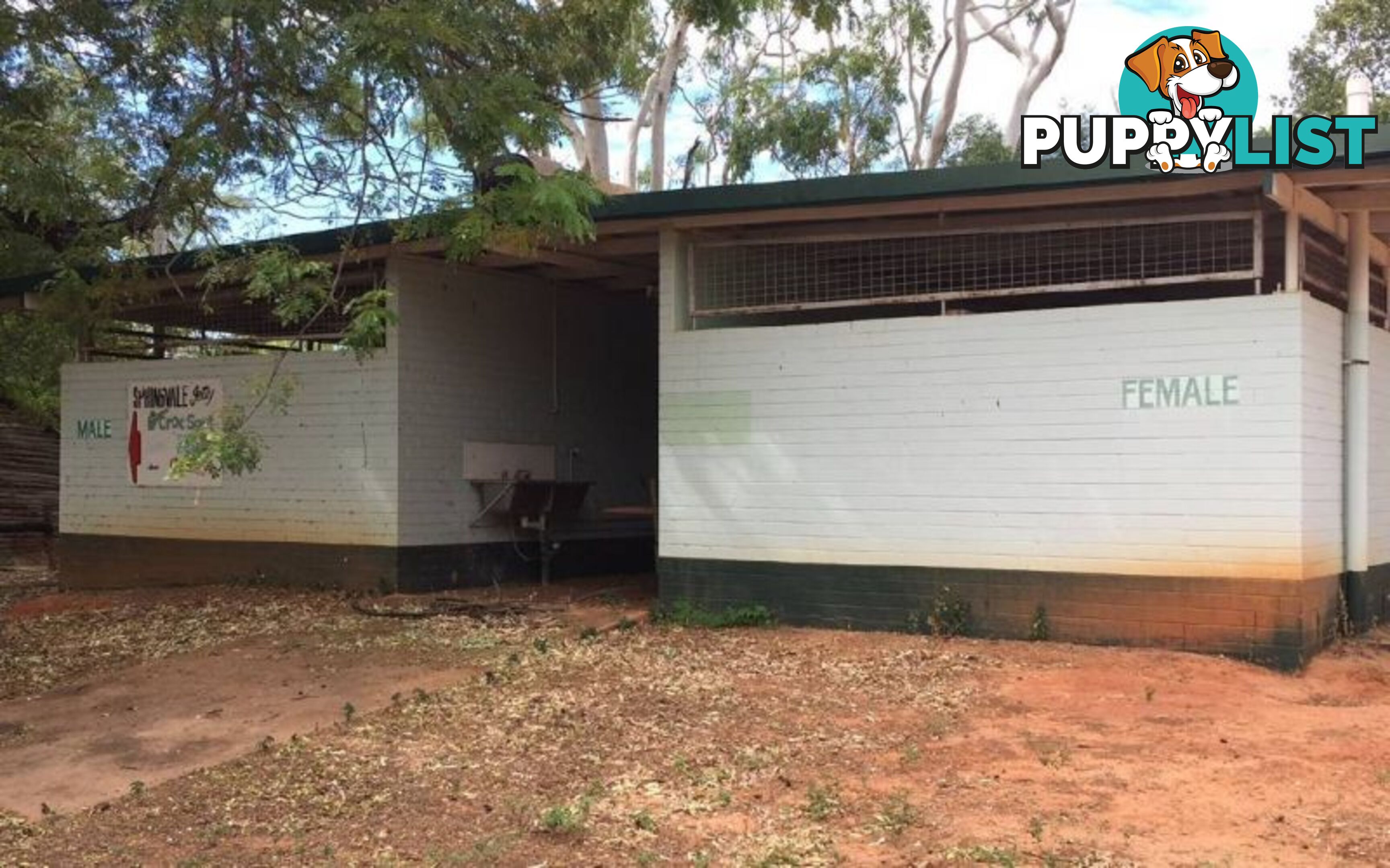 SPRINGVALE HOMESTEAD PARK - 281 Shadforth Road, Cossack Katherine NT 0850