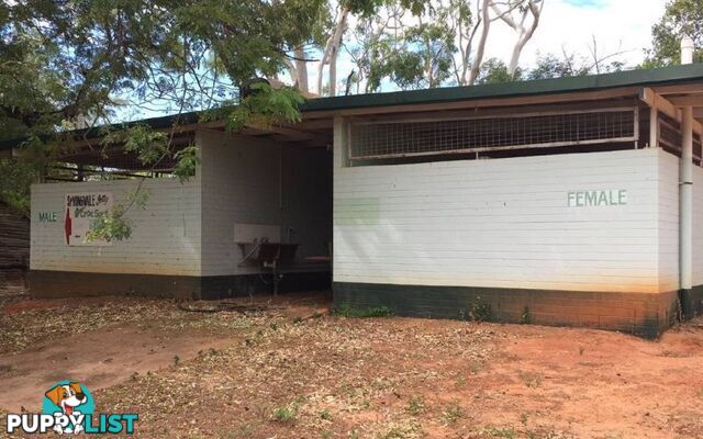 SPRINGVALE HOMESTEAD PARK - 281 Shadforth Road, Cossack Katherine NT 0850