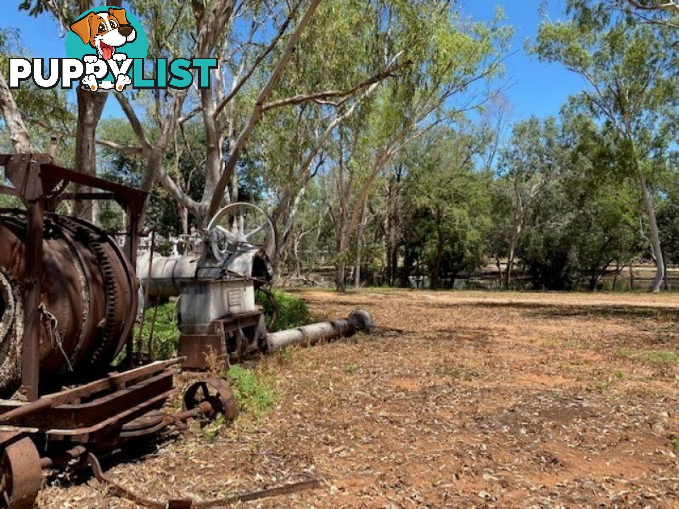 SPRINGVALE HOMESTEAD PARK - 281 Shadforth Road, Cossack Katherine NT 0850