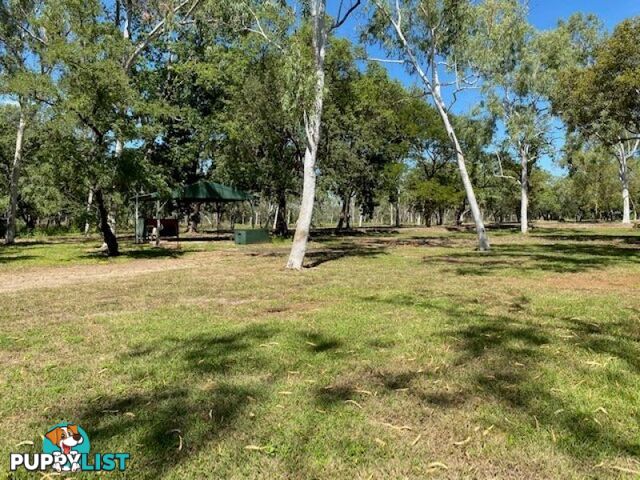 SPRINGVALE HOMESTEAD PARK - 281 Shadforth Road, Cossack Katherine NT 0850