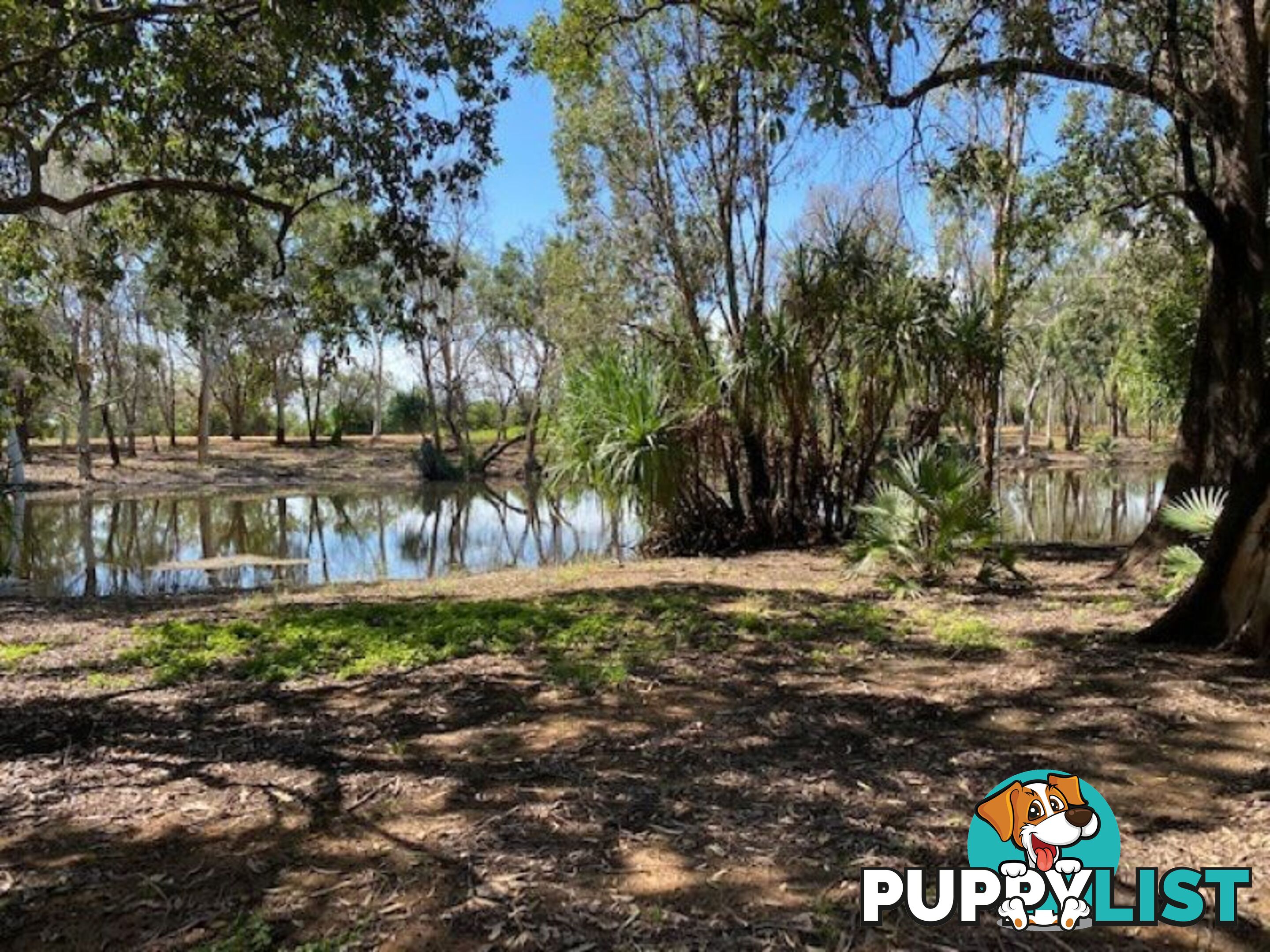 SPRINGVALE HOMESTEAD PARK - 281 Shadforth Road, Cossack Katherine NT 0850