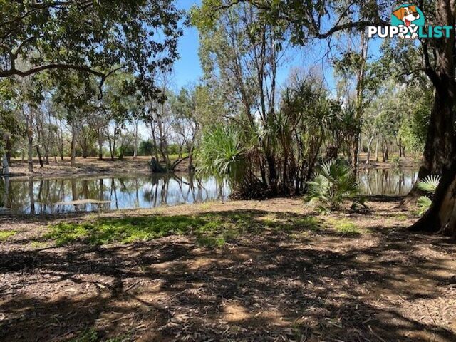 SPRINGVALE HOMESTEAD PARK - 281 Shadforth Road, Cossack Katherine NT 0850